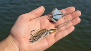 Le Buzzbait : Histoire et Utilisation de ce Leurre de Surface