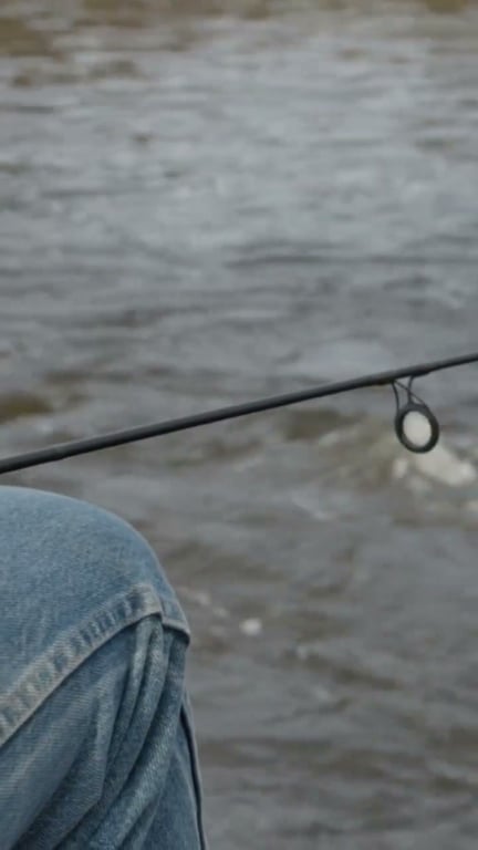 Pêche verticale du sandre : technique complète et conseils