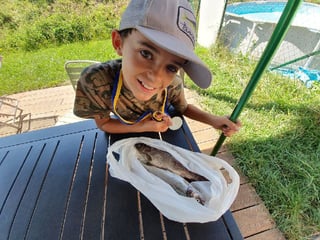 Avatar de JulesAubert