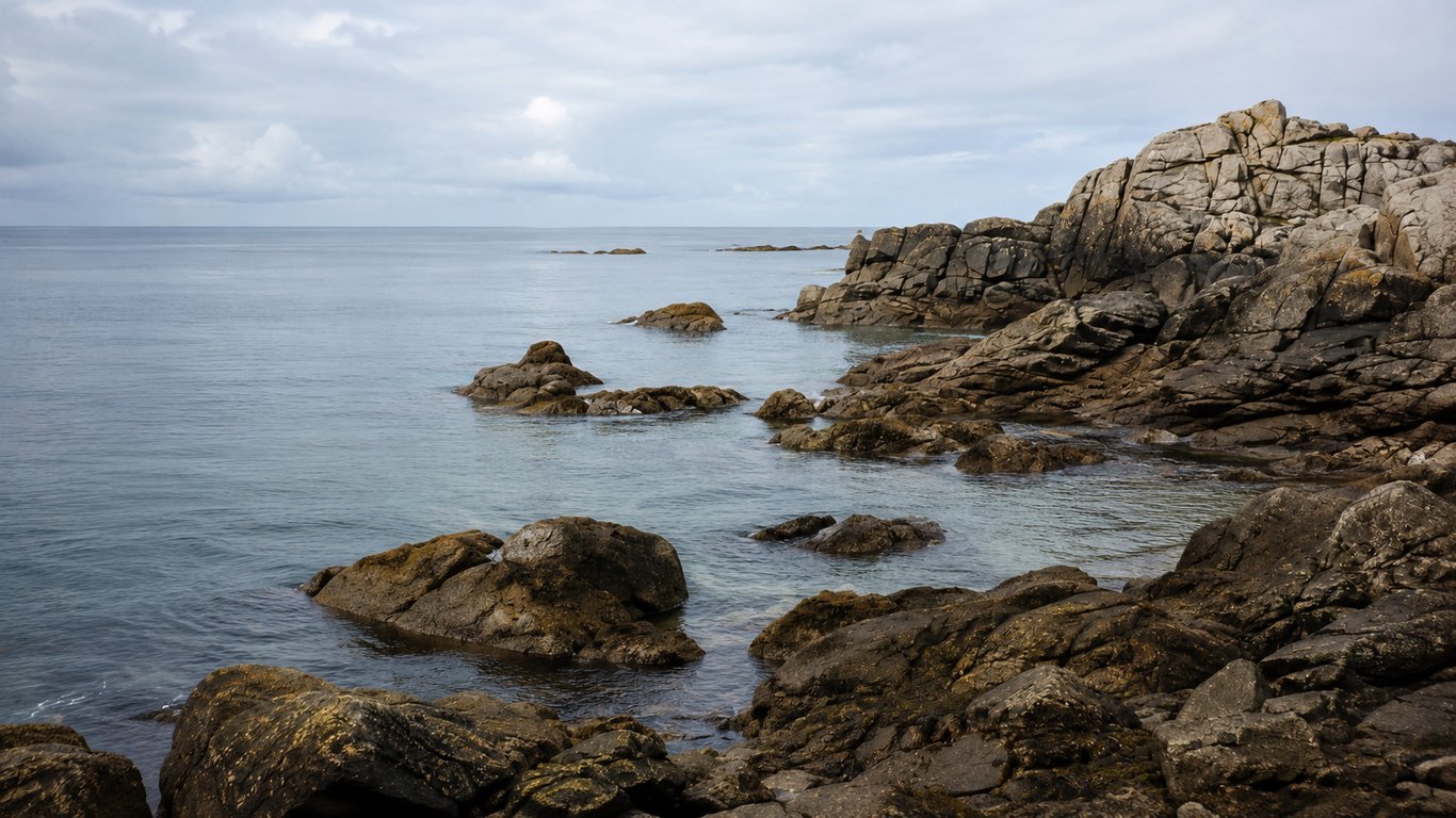 Ou pêcher la dorade grise