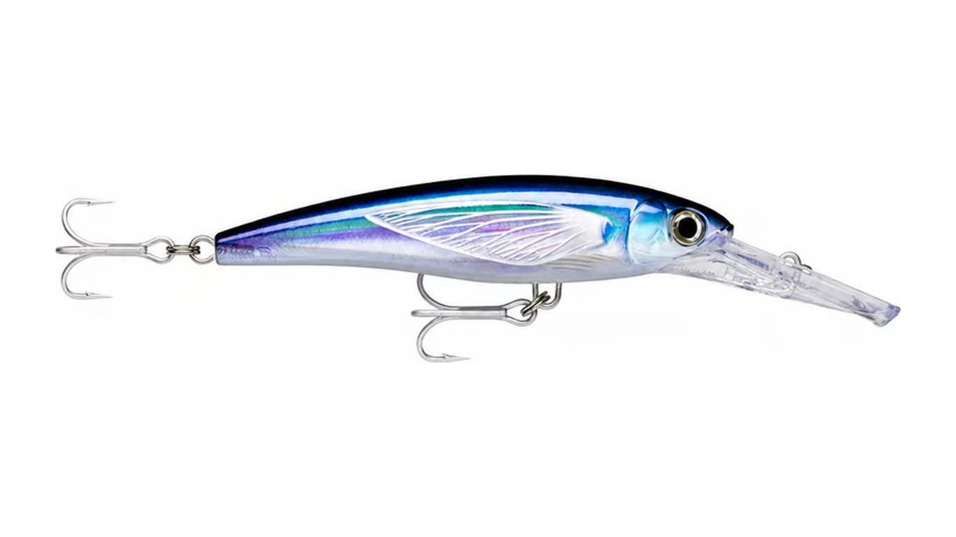 Poisson nageur