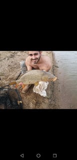 Avatar de knuckle_1655