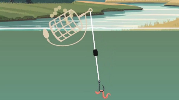 Pêche au Feeder : Technique Redoutable pour Poissons Blancs