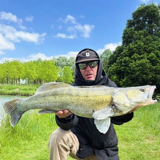 Avatar de jonathan_reinhard_5840