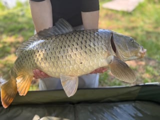 Avatar de antoine_3294