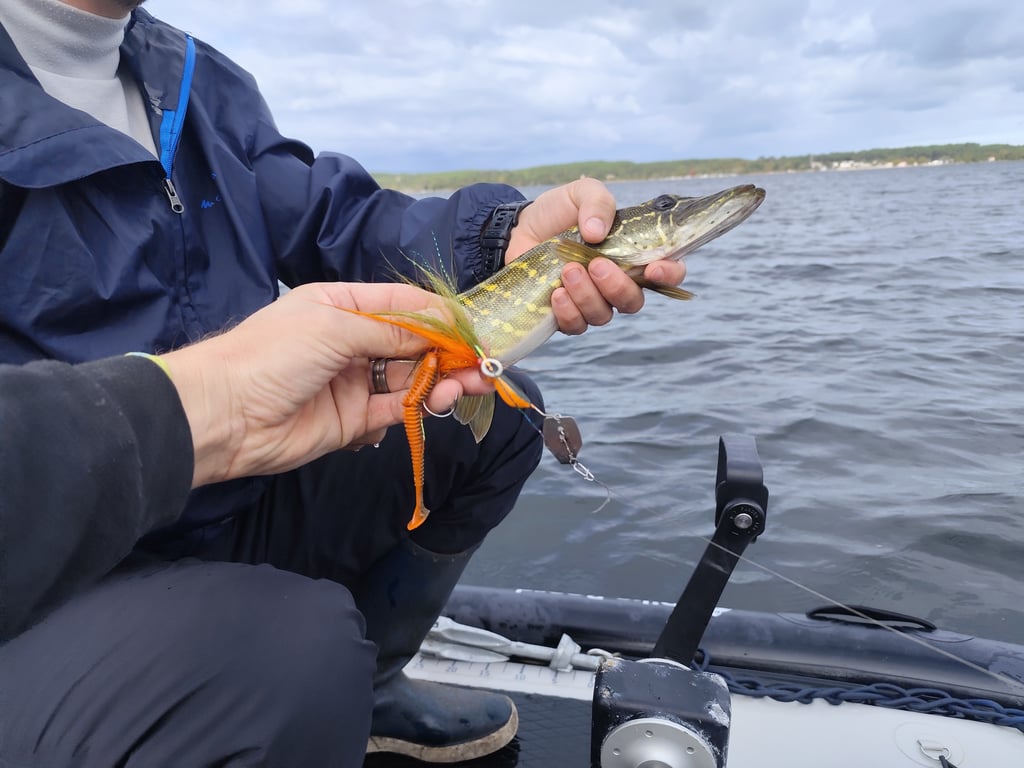 BJBJ Grid natural - 2