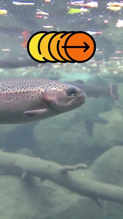 La technique de la pause : déclencher l'attaque des carnassiers