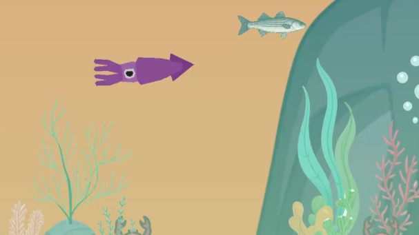 Pêche aux calamars du bord : technique complète pour débuter