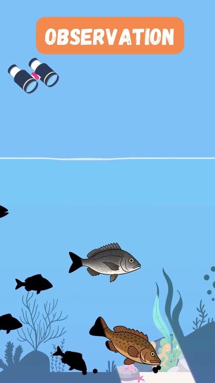 Histoire et science des marées : comprendre leur naissance en France