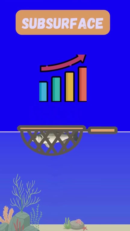 4 leurres incontournables pour pêcher le bar au printemps