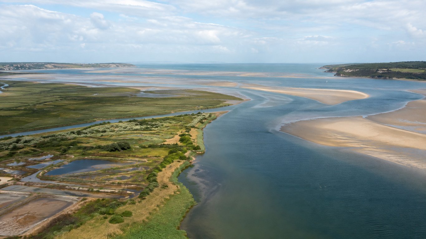 Estuaire