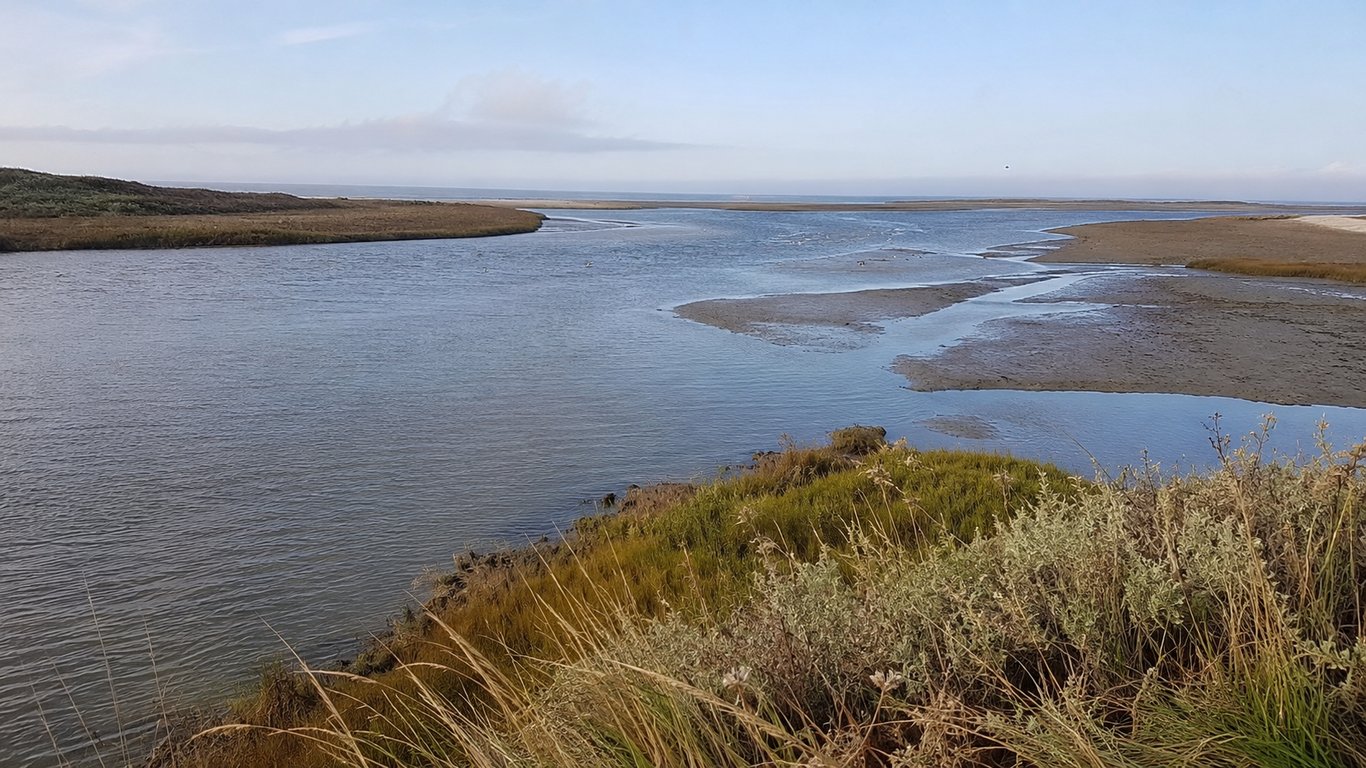 Estuaire