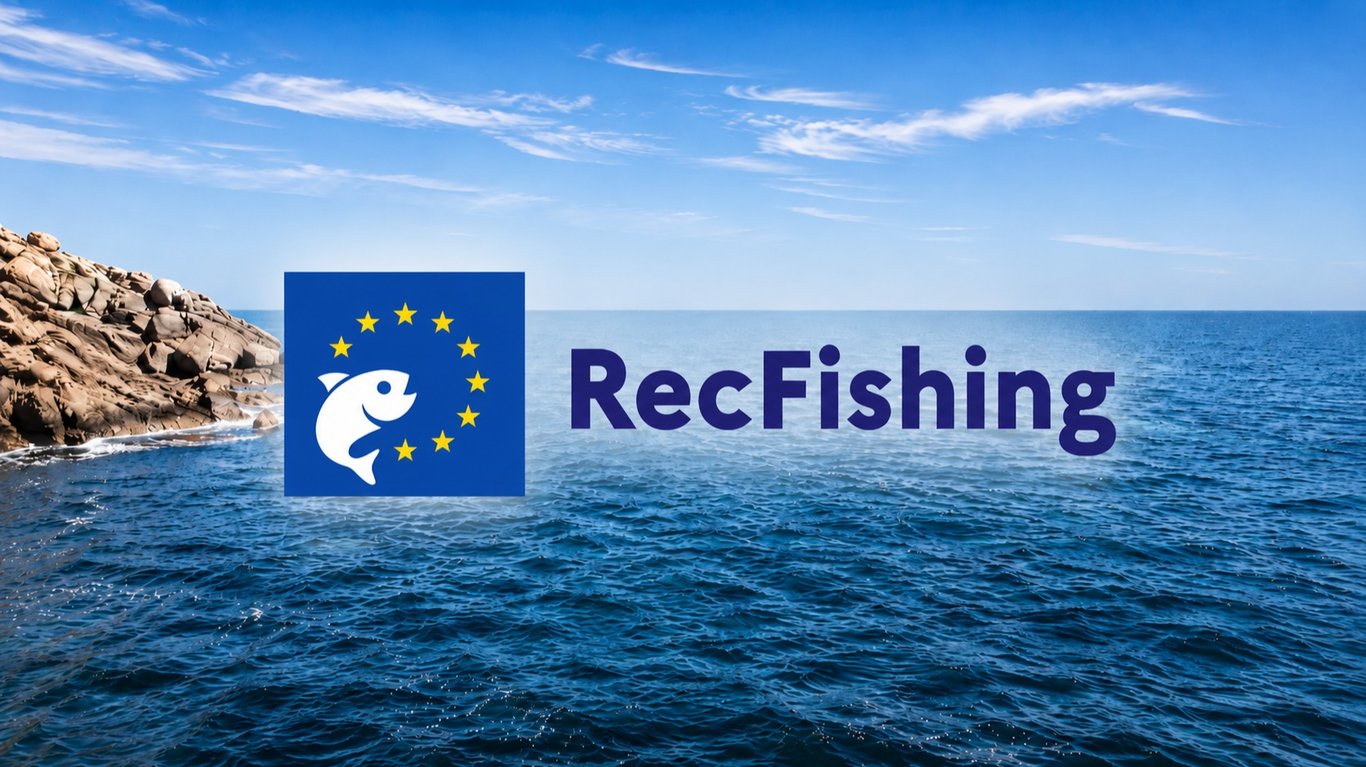 Nouvelle réglementation pêche en mer 2026 : quotas et déclarations