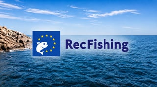 Nouvelle réglementation pêche en mer 2026 : quotas et déclarations