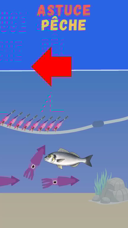 Pêche du calamar à la traîne : technique et montage complet