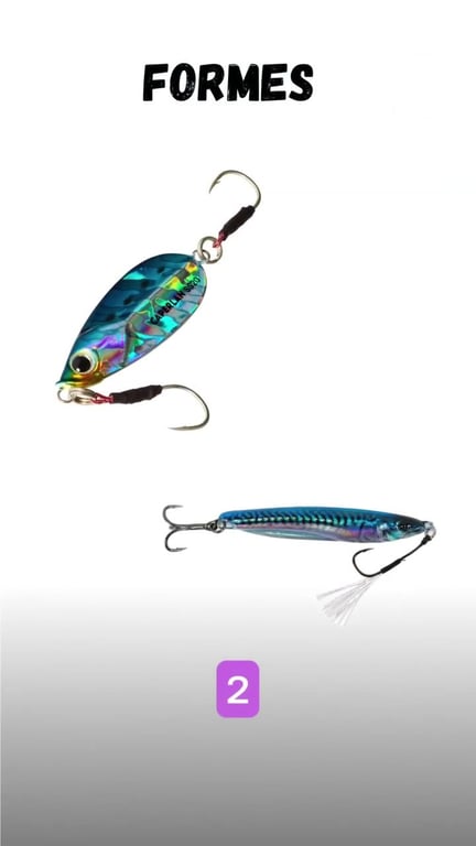 Casting Jig : Le Leurre Polyvalent pour Toutes les Espèces