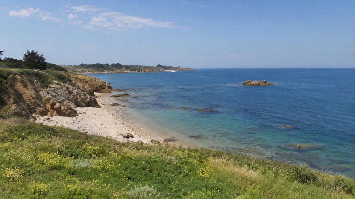Le top 5 des poissons à cibler pendant vos vacances en bord de mer