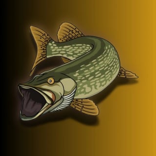 Avatar de Carp & Broc