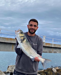 Avatar de deniel_thibaut