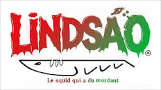 Logo Lindsao
