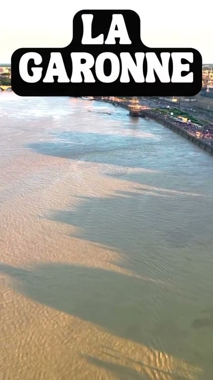 Le Silure Glane : Tout Savoir sur le Géant de nos Rivières