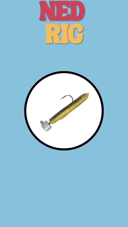 Ned Rig : la technique américaine redoutable pour les carnassiers