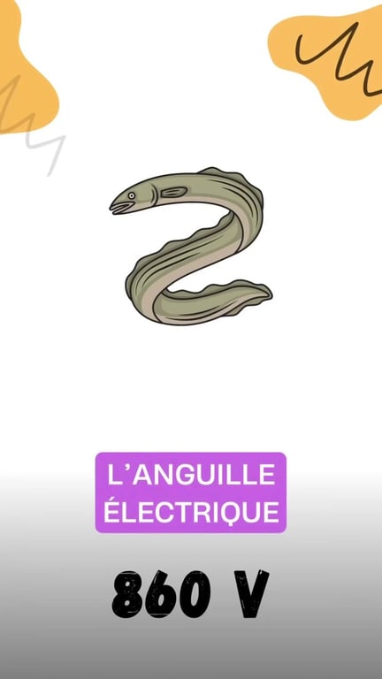 3 poissons aux capacités extraordinaires que tout pêcheur devrait connaître