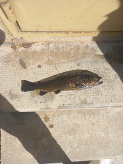 Avatar de louis du 05