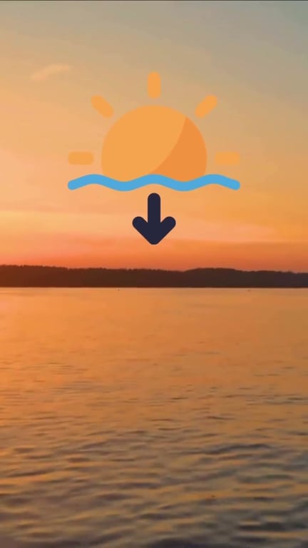 Pourquoi les poissons mordent plus le matin et le soir ?