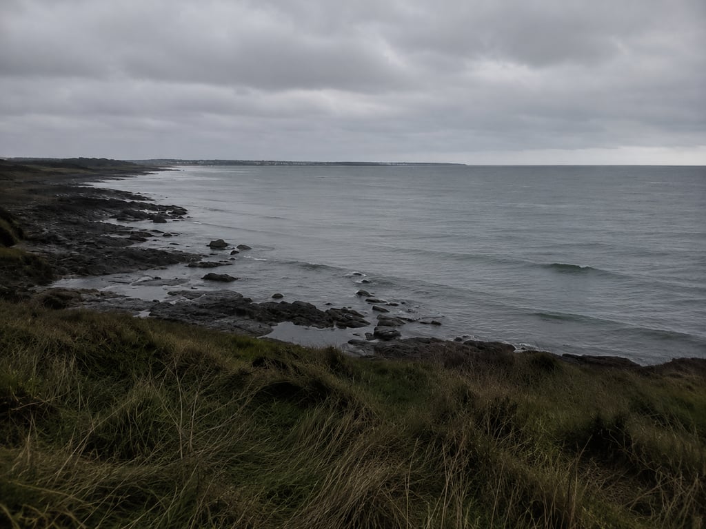 Mer hiver