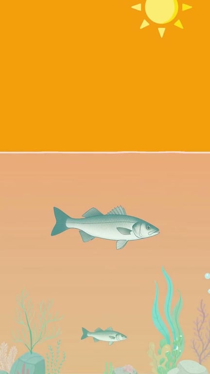 Pêche du bar selon les saisons : adapter son approche toute l'année