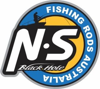 Logo Ns black hole