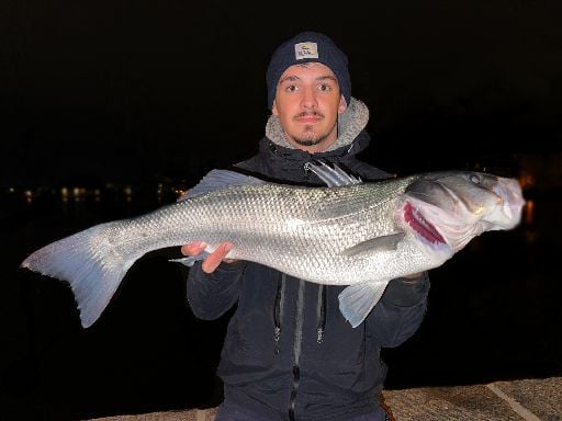 Avatar de Rod_rivals