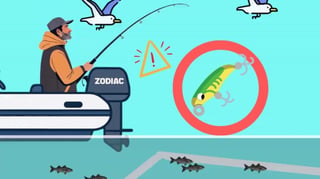 4 leurres incontournables pour pêcher le bar au printemps