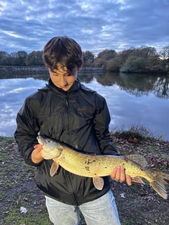 Avatar de Benjam1202