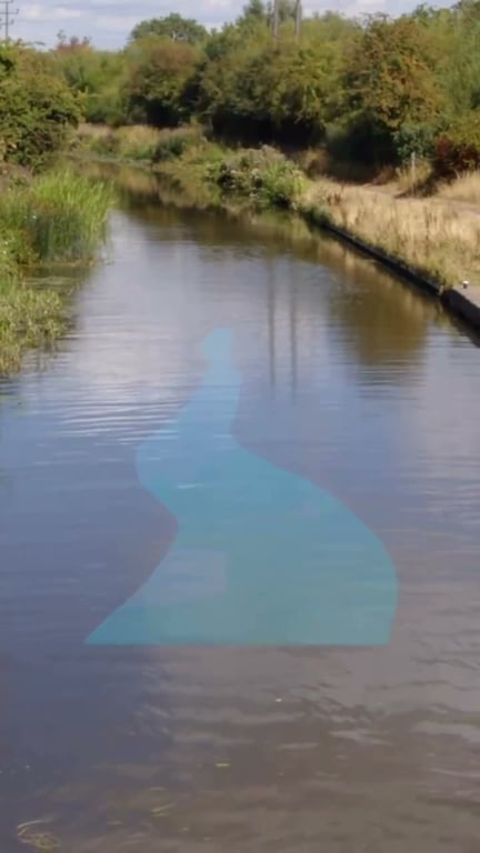 Cours d'eau 1ère et 2ème catégorie : guide complet du pêcheur