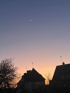 Avatar de guilherm56