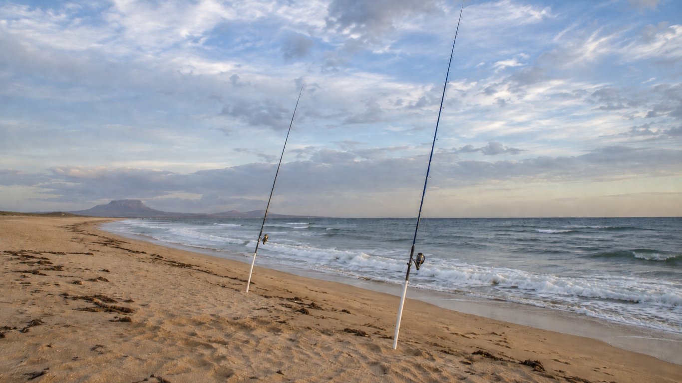 Les différents types d’appâts pour le surfcasting
