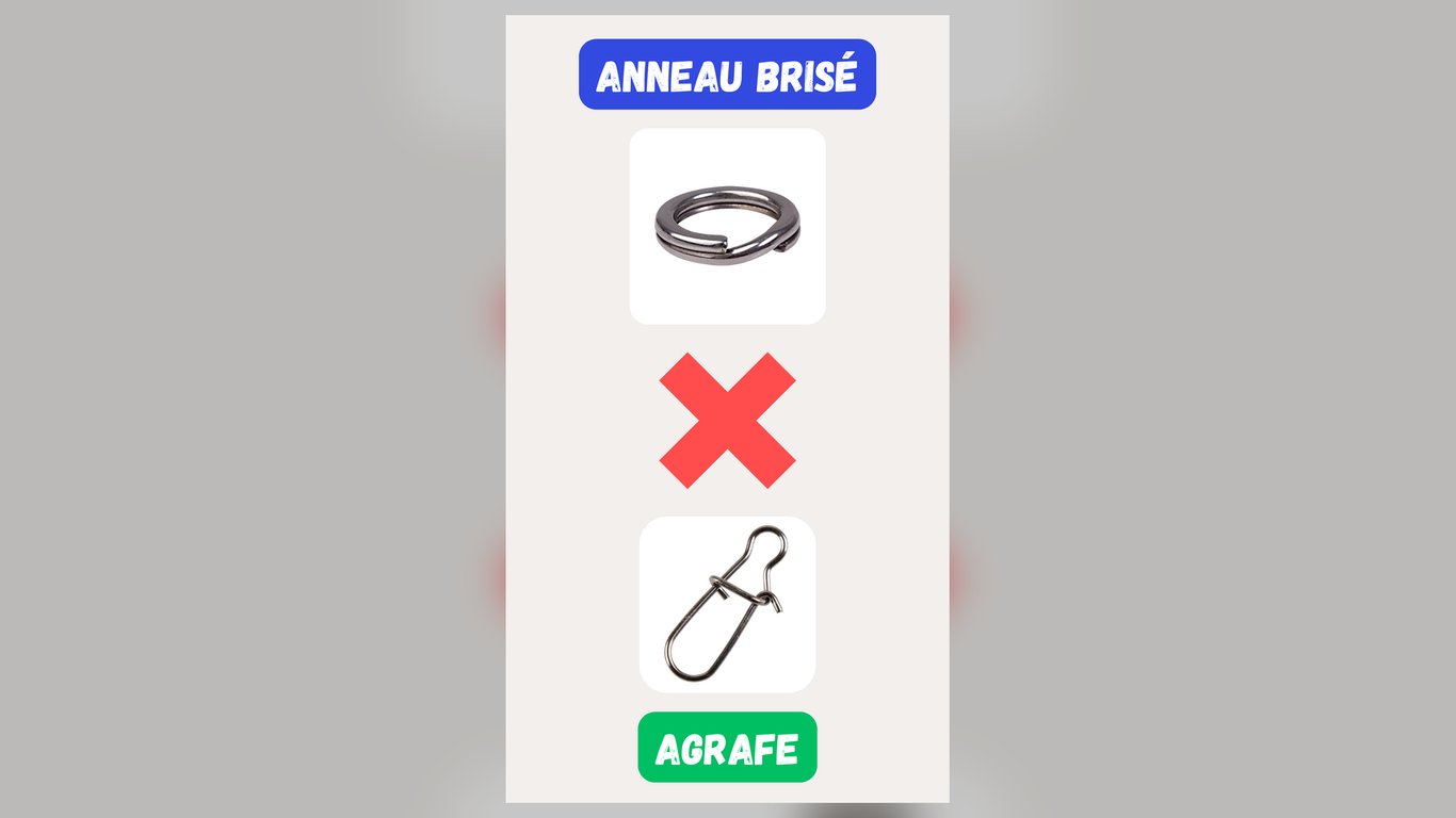 Agneau