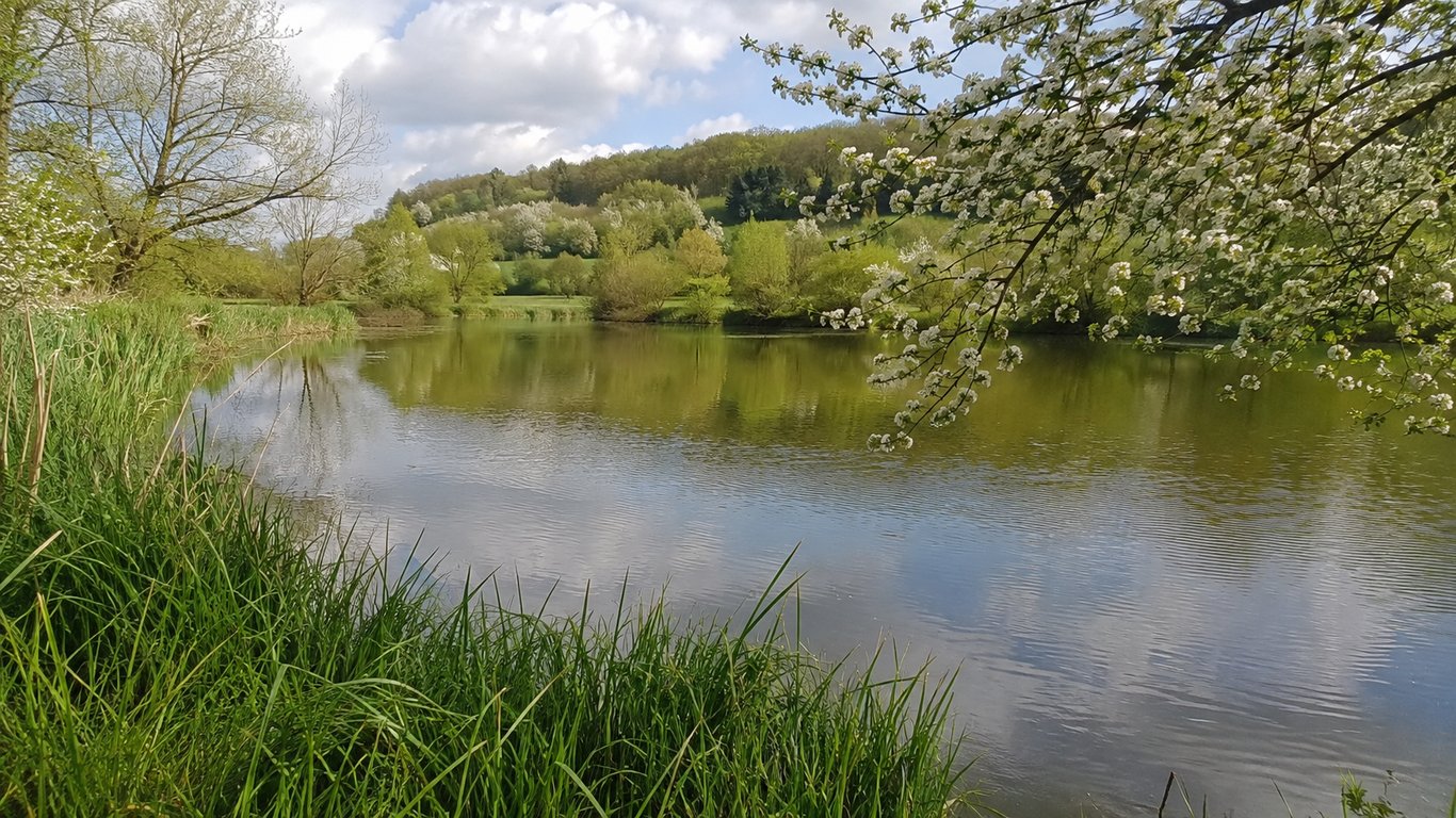 Etang