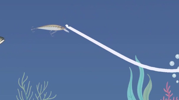 Pêche aux poissons nageurs : guide complet pour débuter