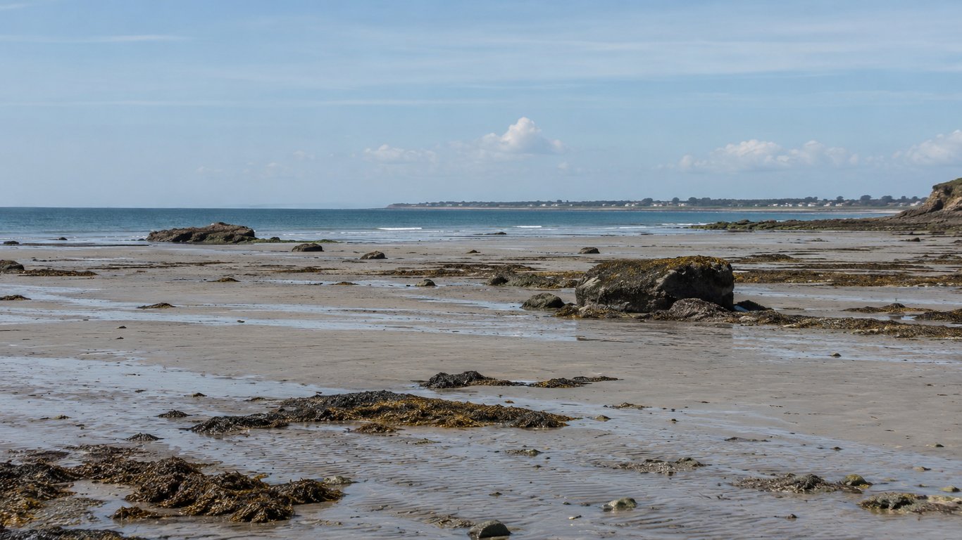 Marée