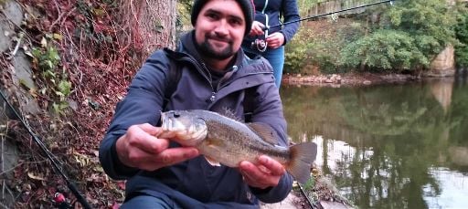 Avatar de jeremy_fardeau_5706