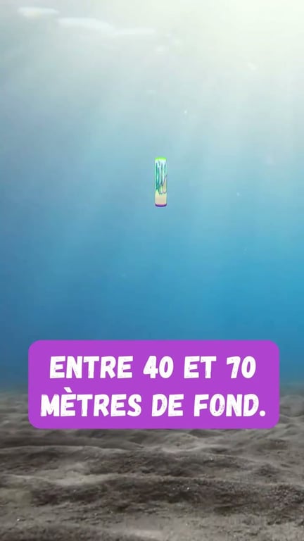 Pêche de la dorade à la pierre : technique méditerranéenne efficace