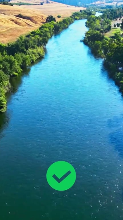 Quiz Pêche : 7 Questions pour Tester vos Connaissances