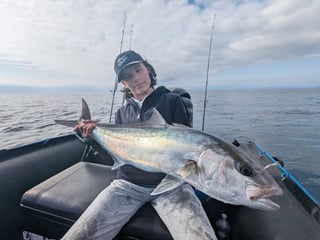 Avatar de nell_ortigue_4951