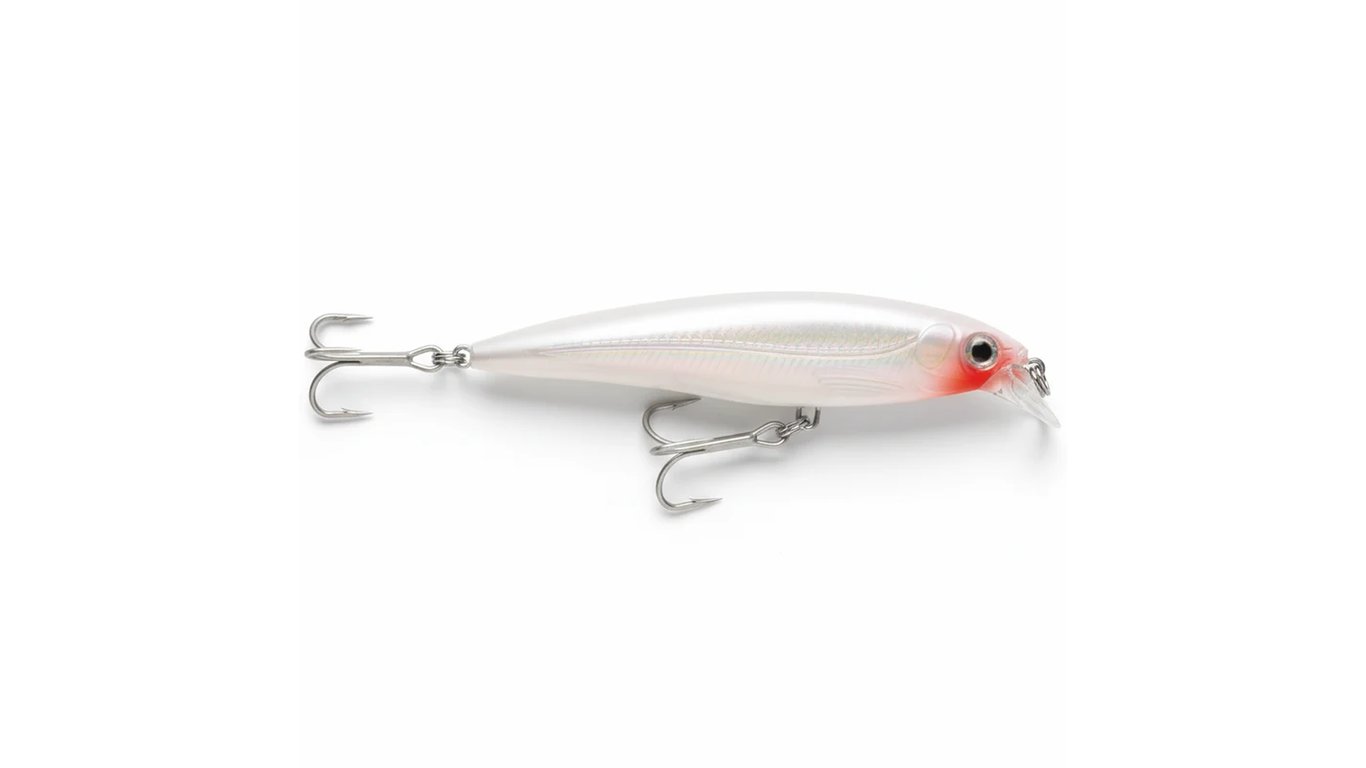 Poisson nageur