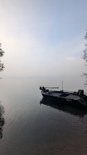 Avatar de olivier_vigueras_3942