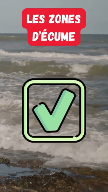 Pourquoi le blanc est LA couleur de leurre la plus efficace