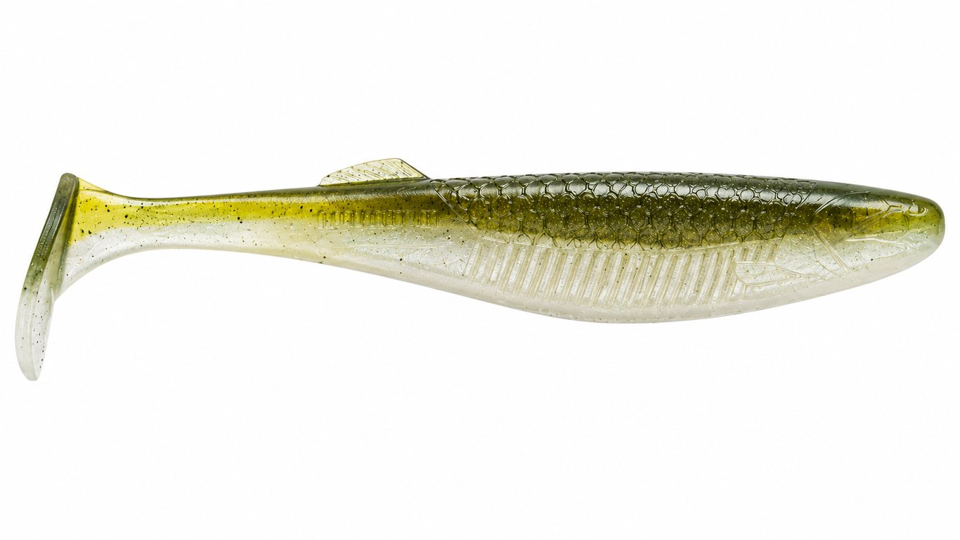 Shad